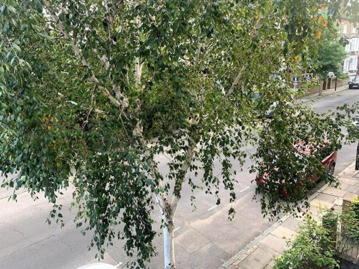 Lovely Spacious 1-Bedroom Flat In Tufnell Park Close To Central London Exterior photo